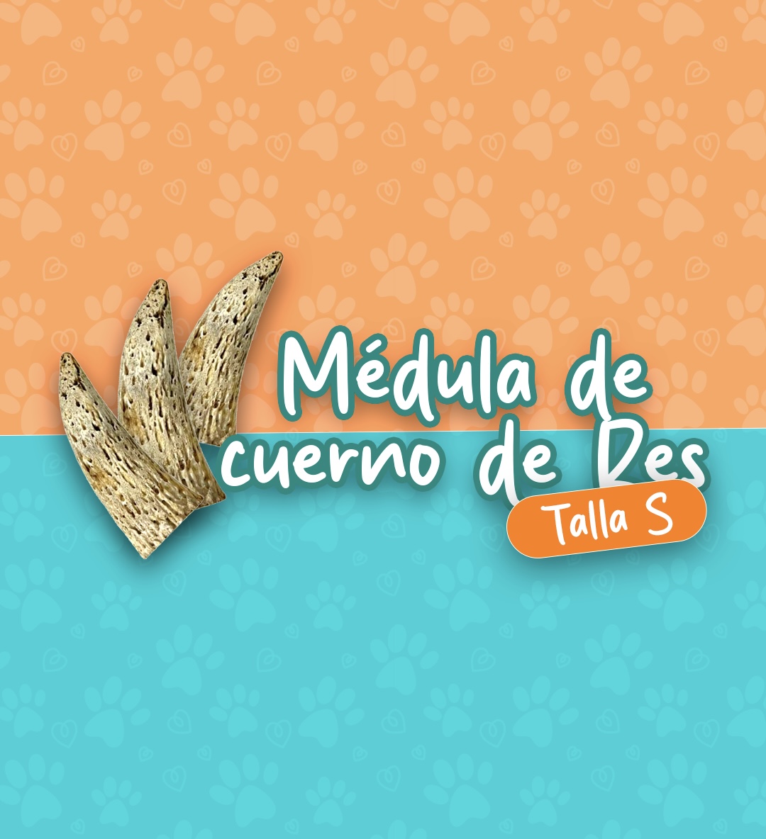 Médula de cuerno (Talla S)