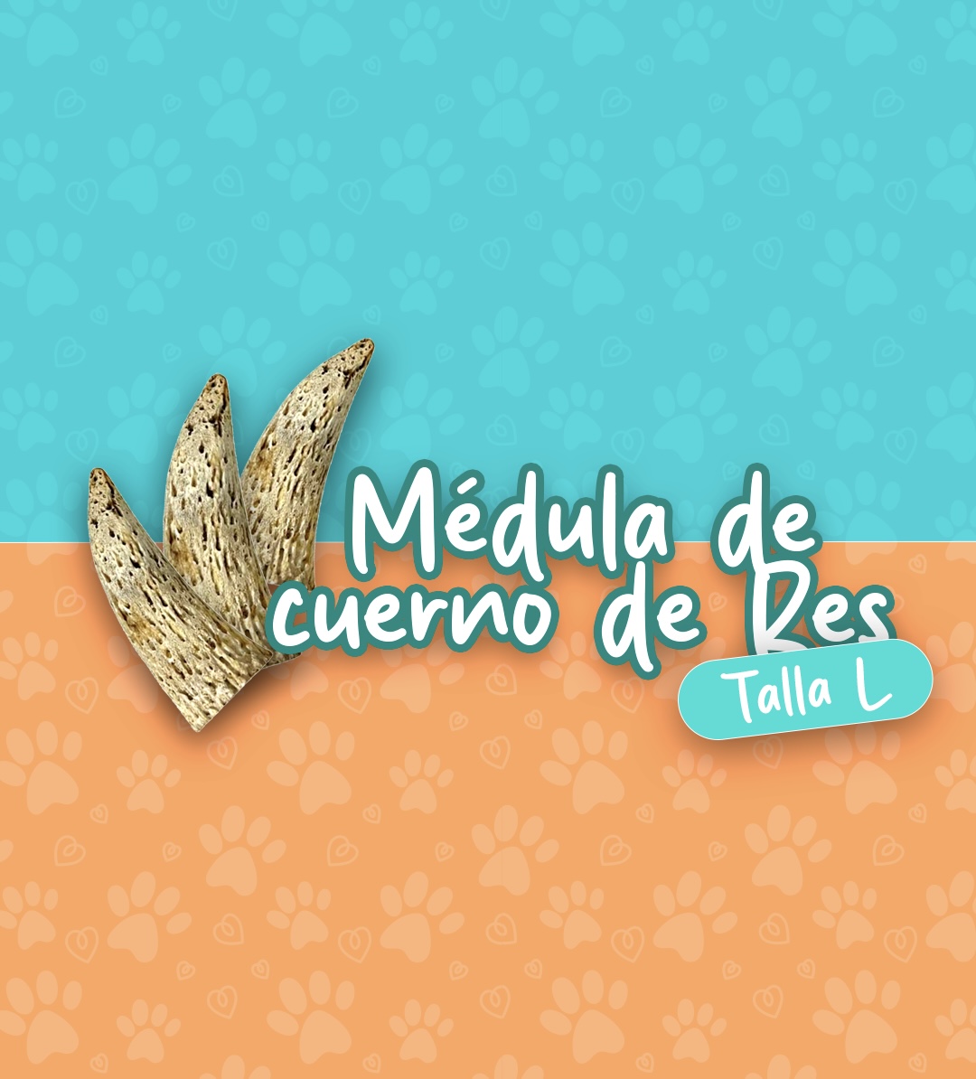 Médula de cuerno (Talla L) 